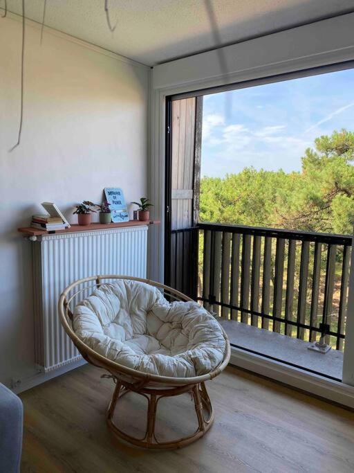 Grand T2 A 150M De La Plage Apartment Seignosse Exterior foto